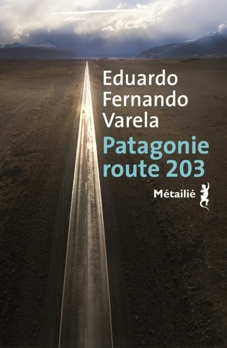 Patagonie route 203 - Eduardo Fernando Varela - METAILIE