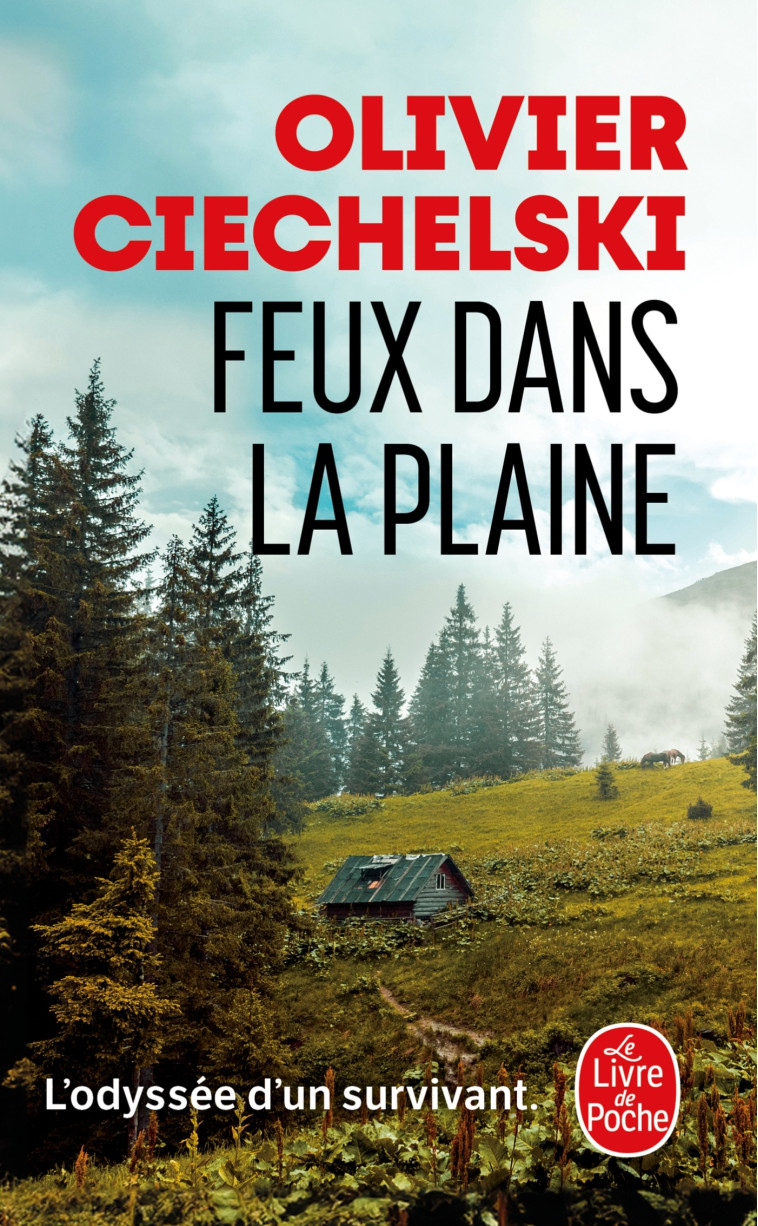 Feux dans la plaine - Olivier Ciechelski - LGF