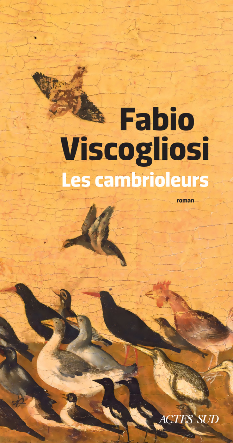 Les Cambrioleurs - Fabio Viscogliosi, Fabio Viscogliosi - ACTES SUD